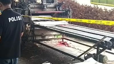 Pemuda dengan tubuh hancur di temukan didalam mesin penghancur kayu di lampung tengah